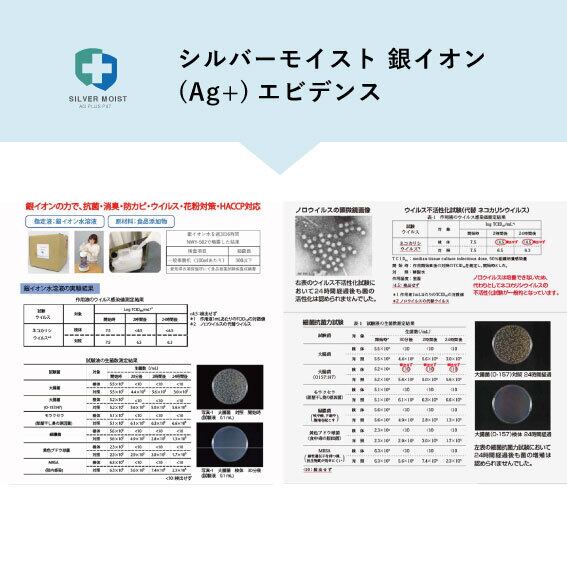 フォームタイプ・シルバーモイストP47(80ml)